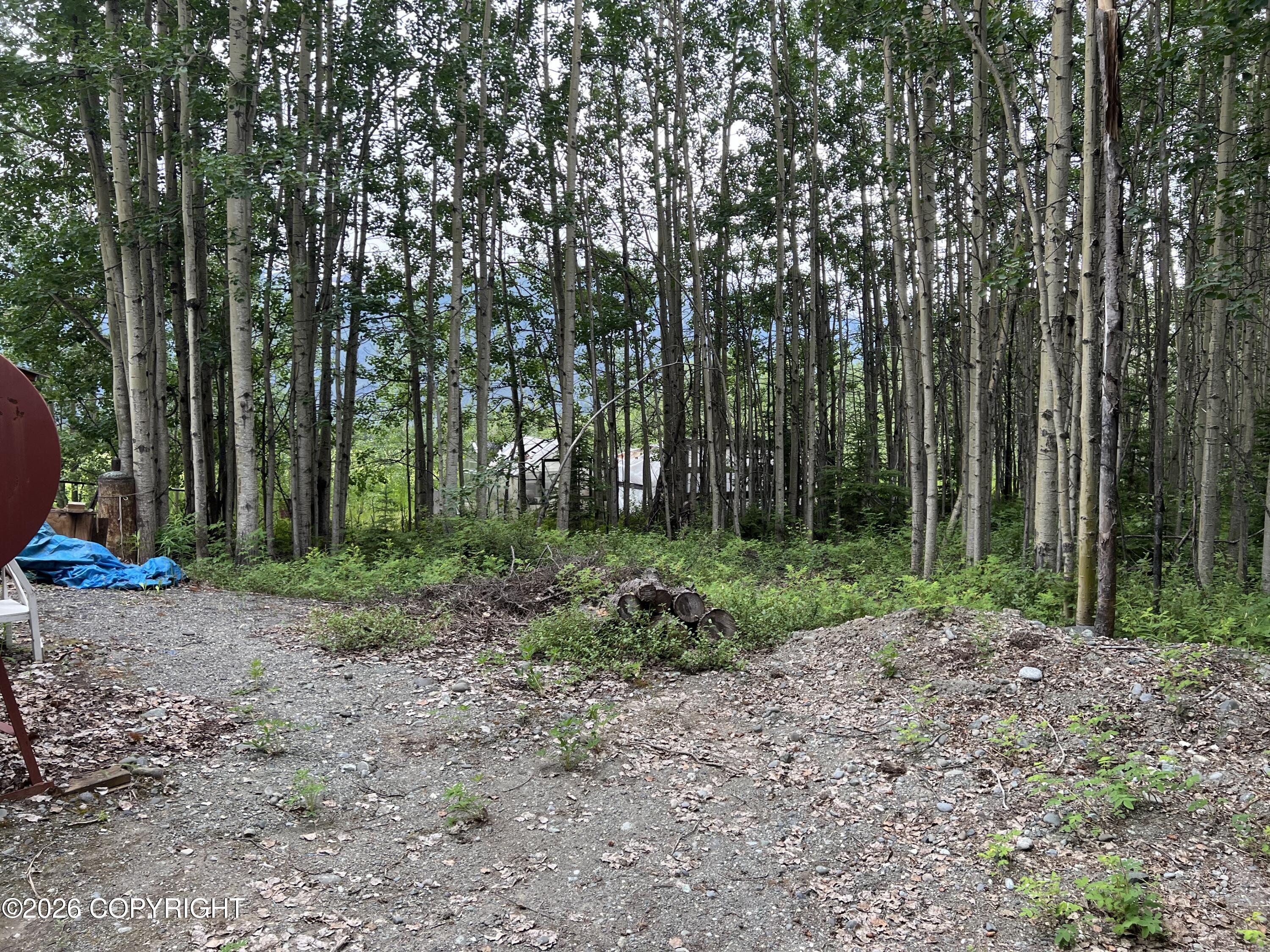 Mile 13.86 Edgerton Highway Property Photo 12