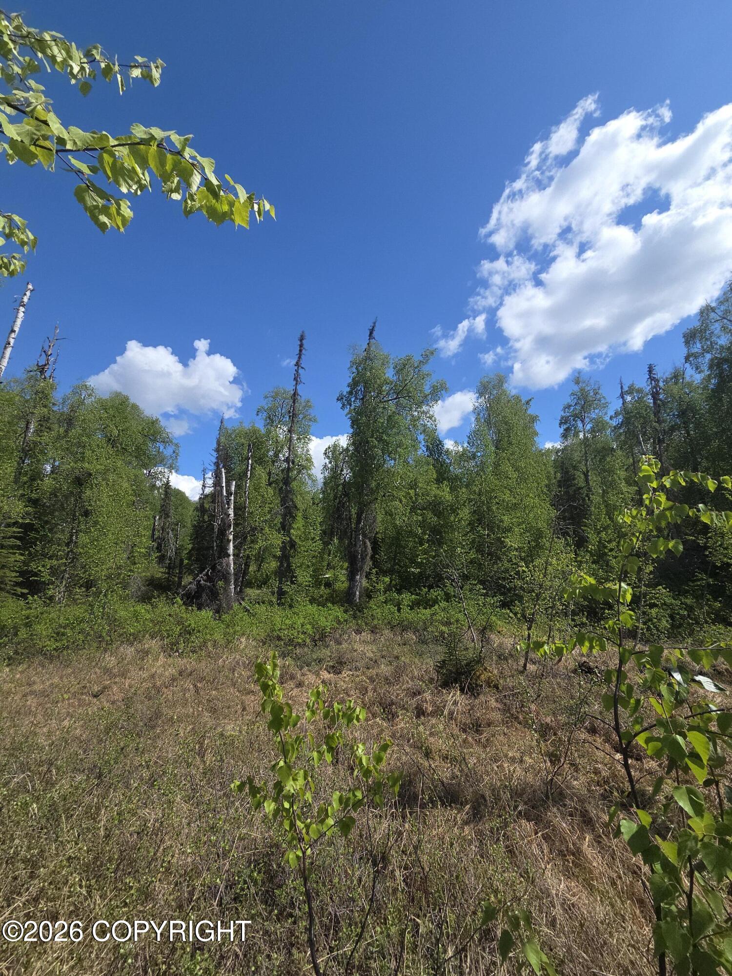 36055 S Malaspina Loop Property Photo 15