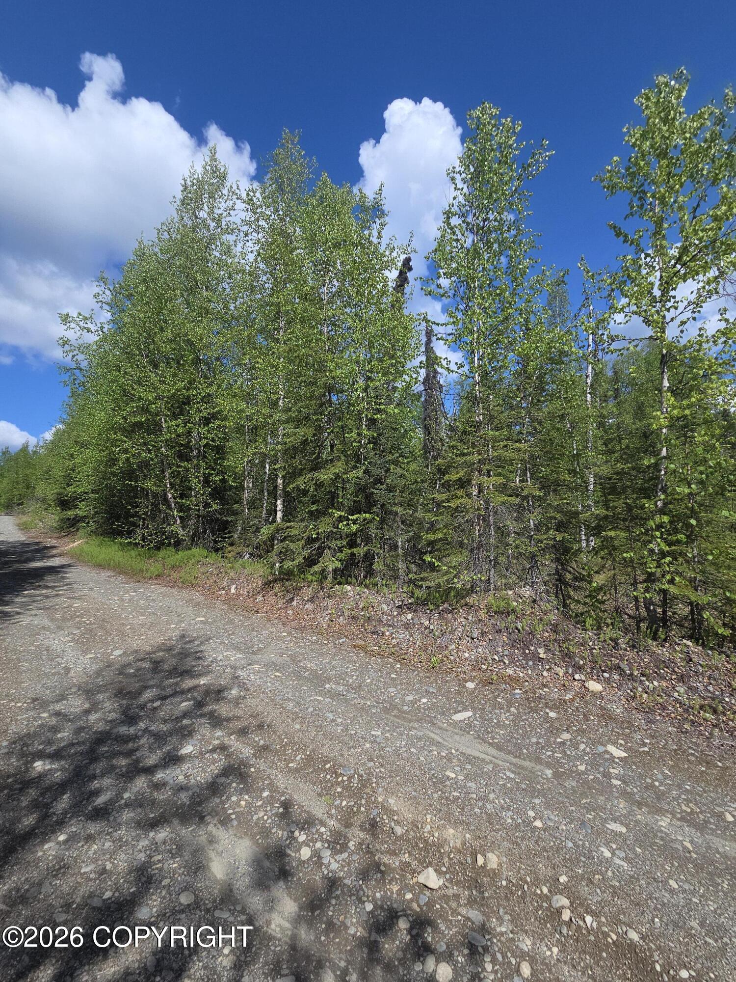 36055 S Malaspina Loop Property Photo 19