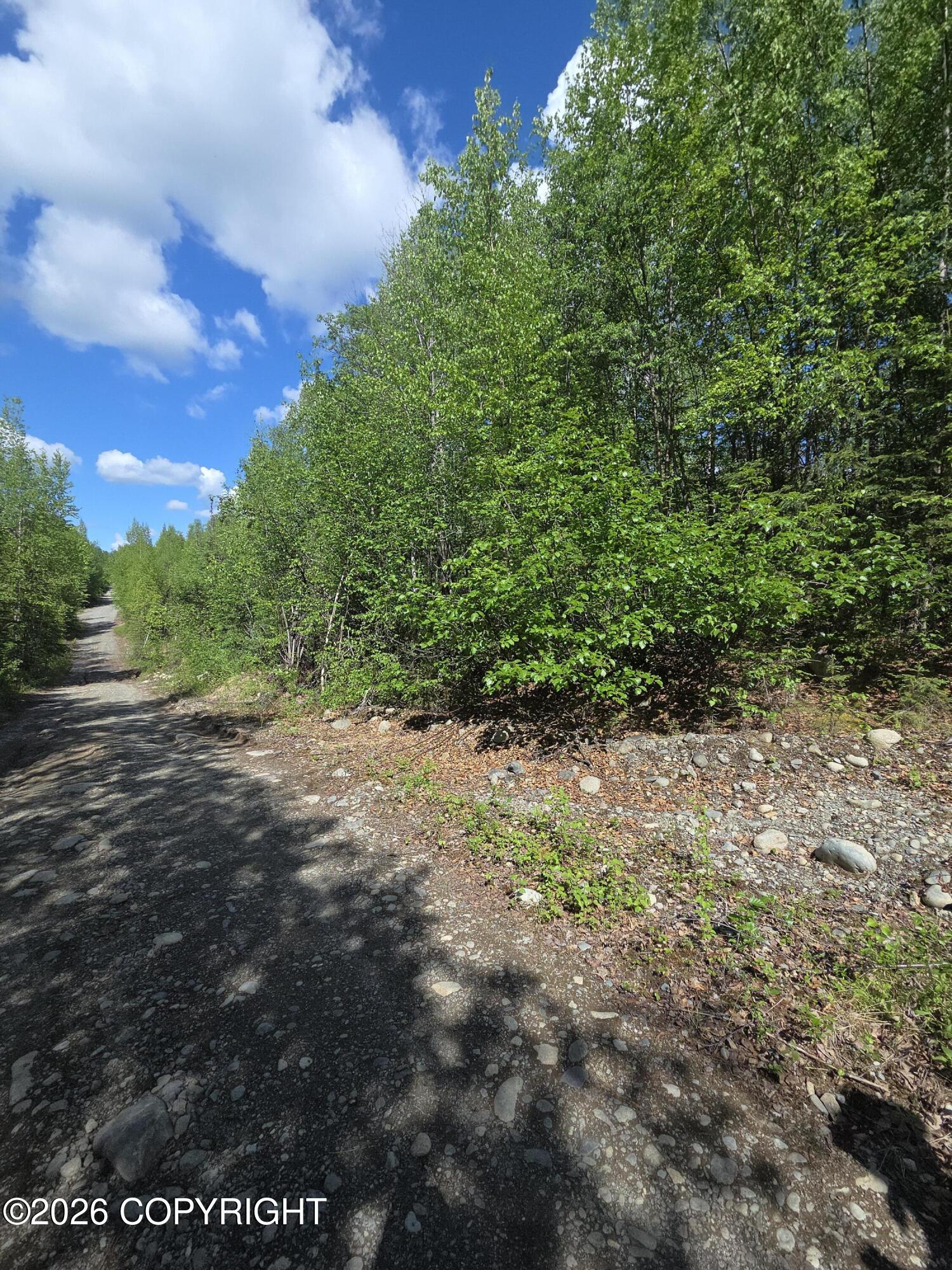 36055 S Malaspina Loop Property Photo 5