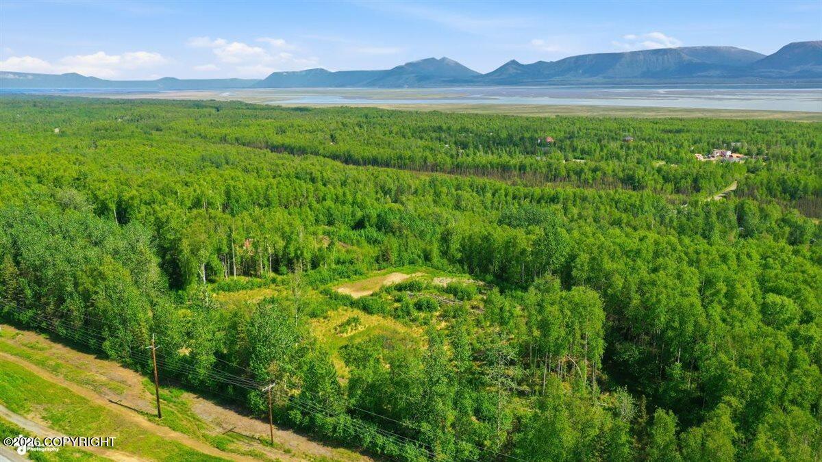 7637 S Knik Goose Bay Road Property Photo 6