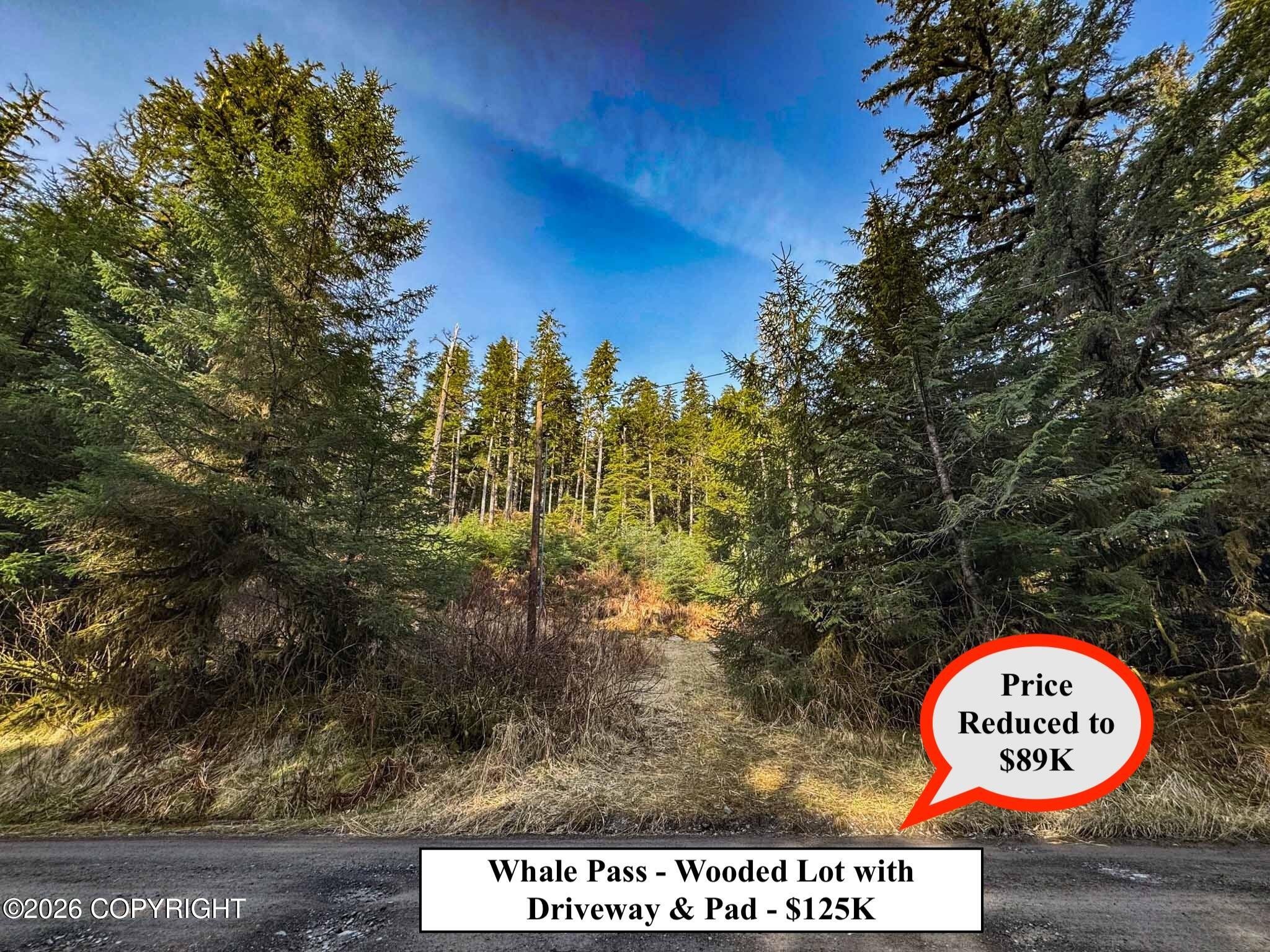 Lot 7 Usfs 30 Road Property Photo 1