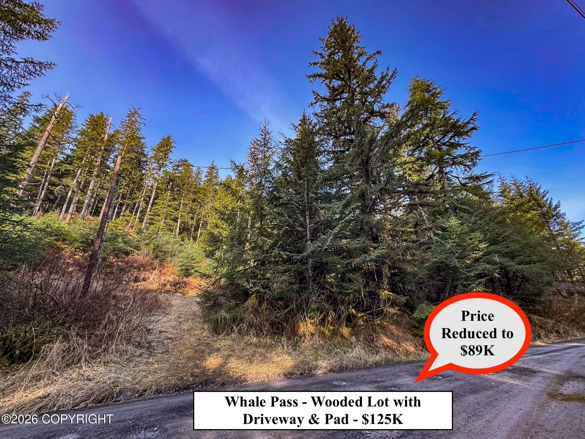 Lot 7 Usfs 30 Road Property Photo 3