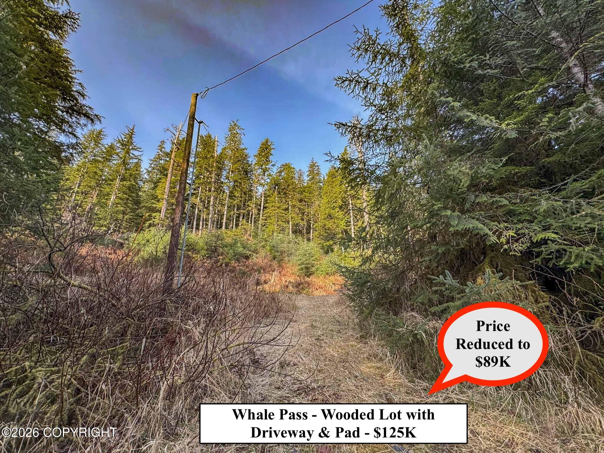 Lot 7 Usfs 30 Road Property Photo 4