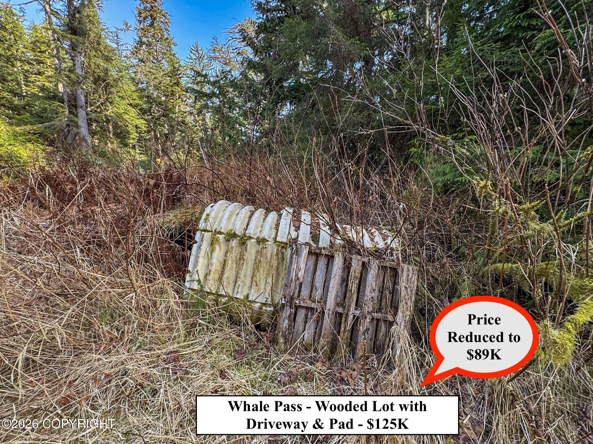 Lot 7 Usfs 30 Road Property Photo 5