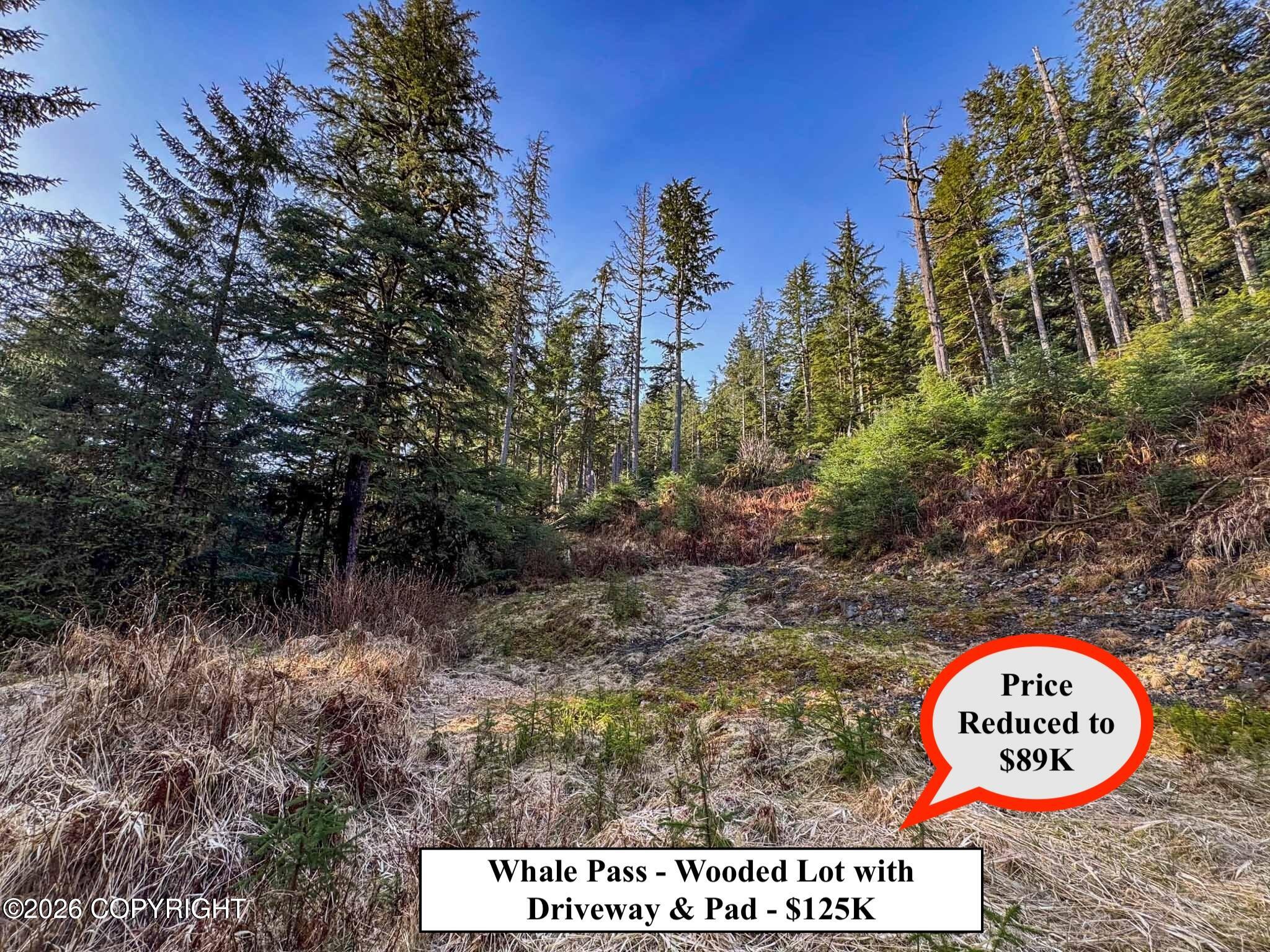 Lot 7 Usfs 30 Road Property Photo 6