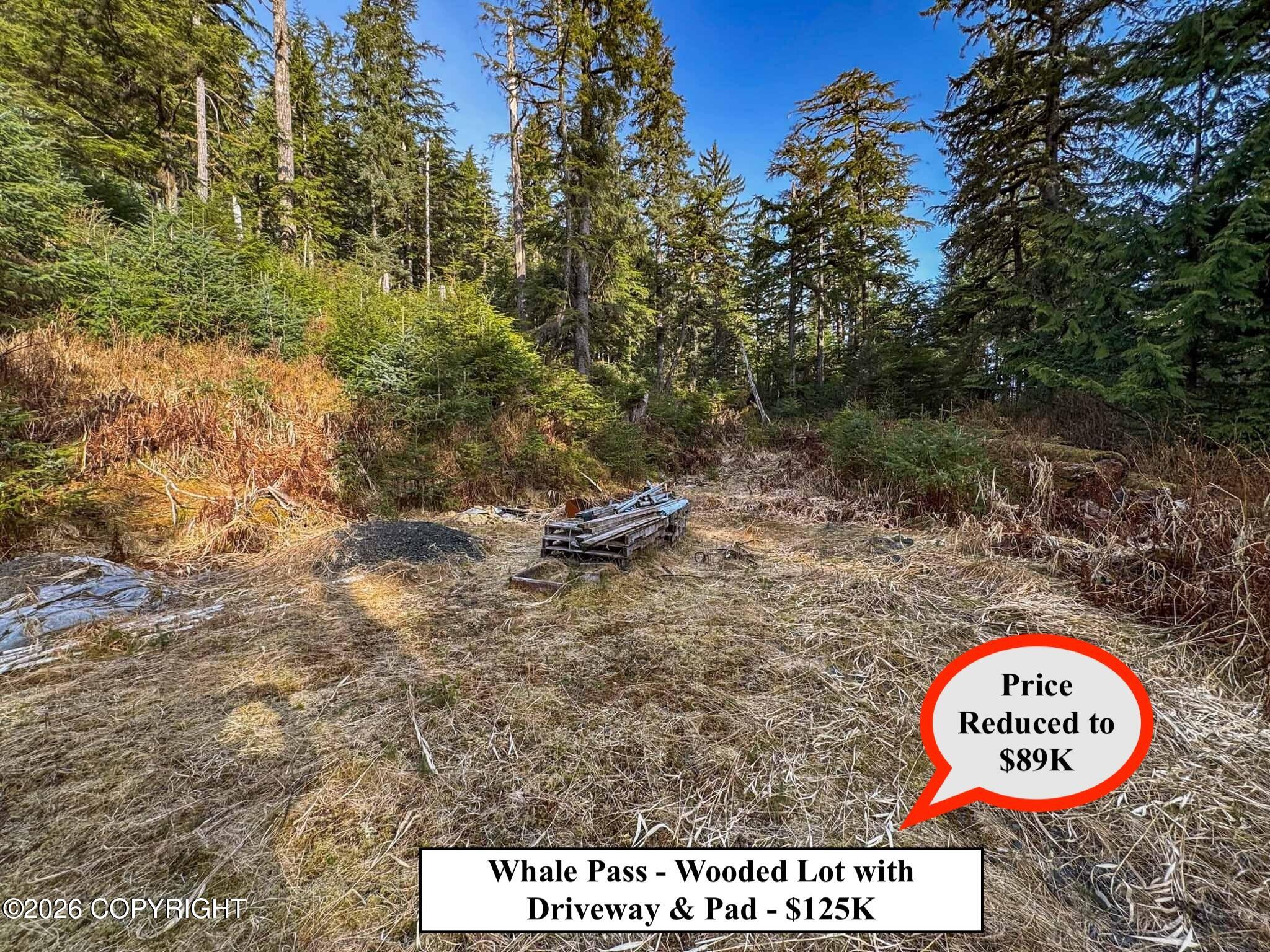 Lot 7 Usfs 30 Road Property Photo 7