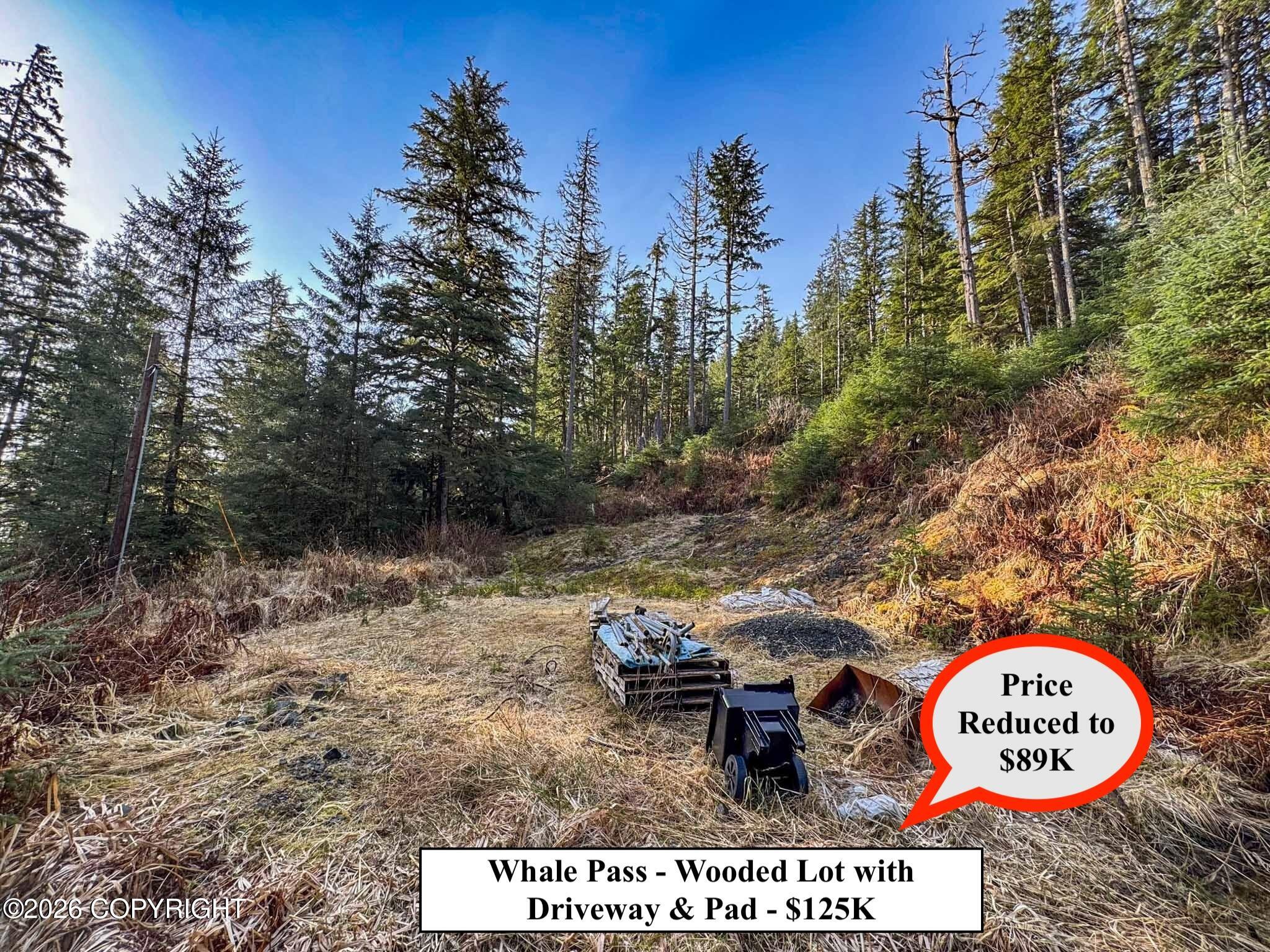 Lot 7 Usfs 30 Road Property Photo 8