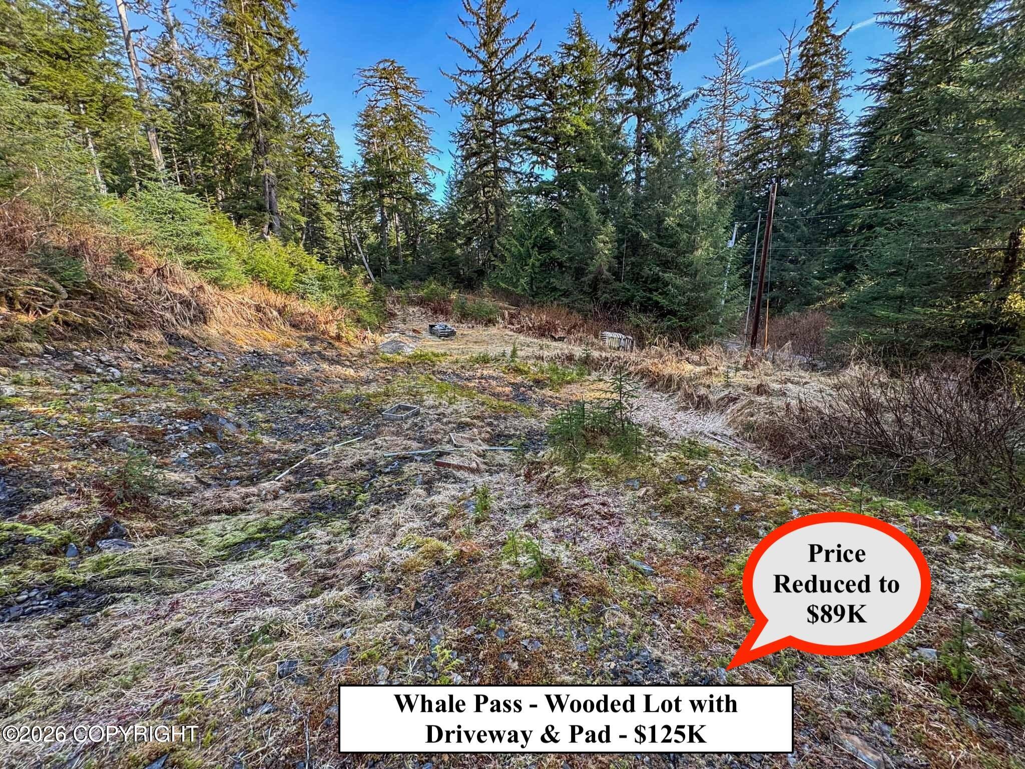 Lot 7 Usfs 30 Road Property Photo 9