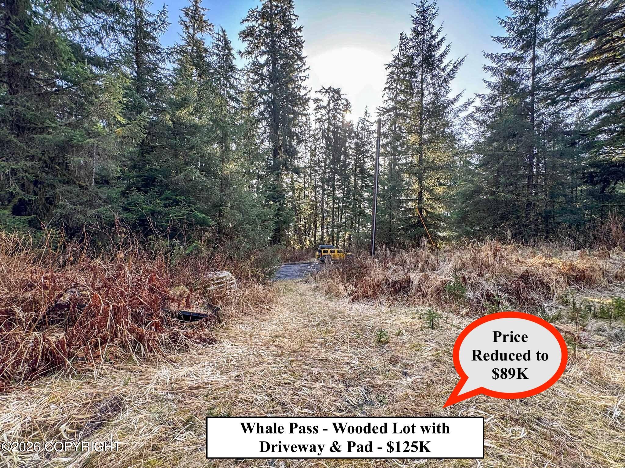 Lot 7 Usfs 30 Road Property Photo 10