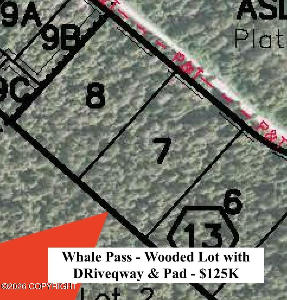 Lot 7 Usfs 30 Road Property Photo 11