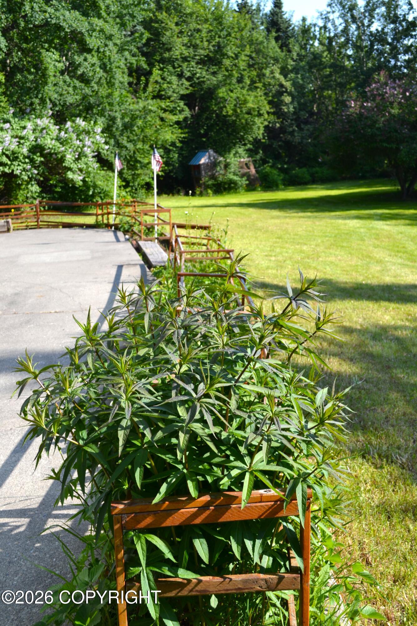 15100 Old Seward Highway Property Photo 12
