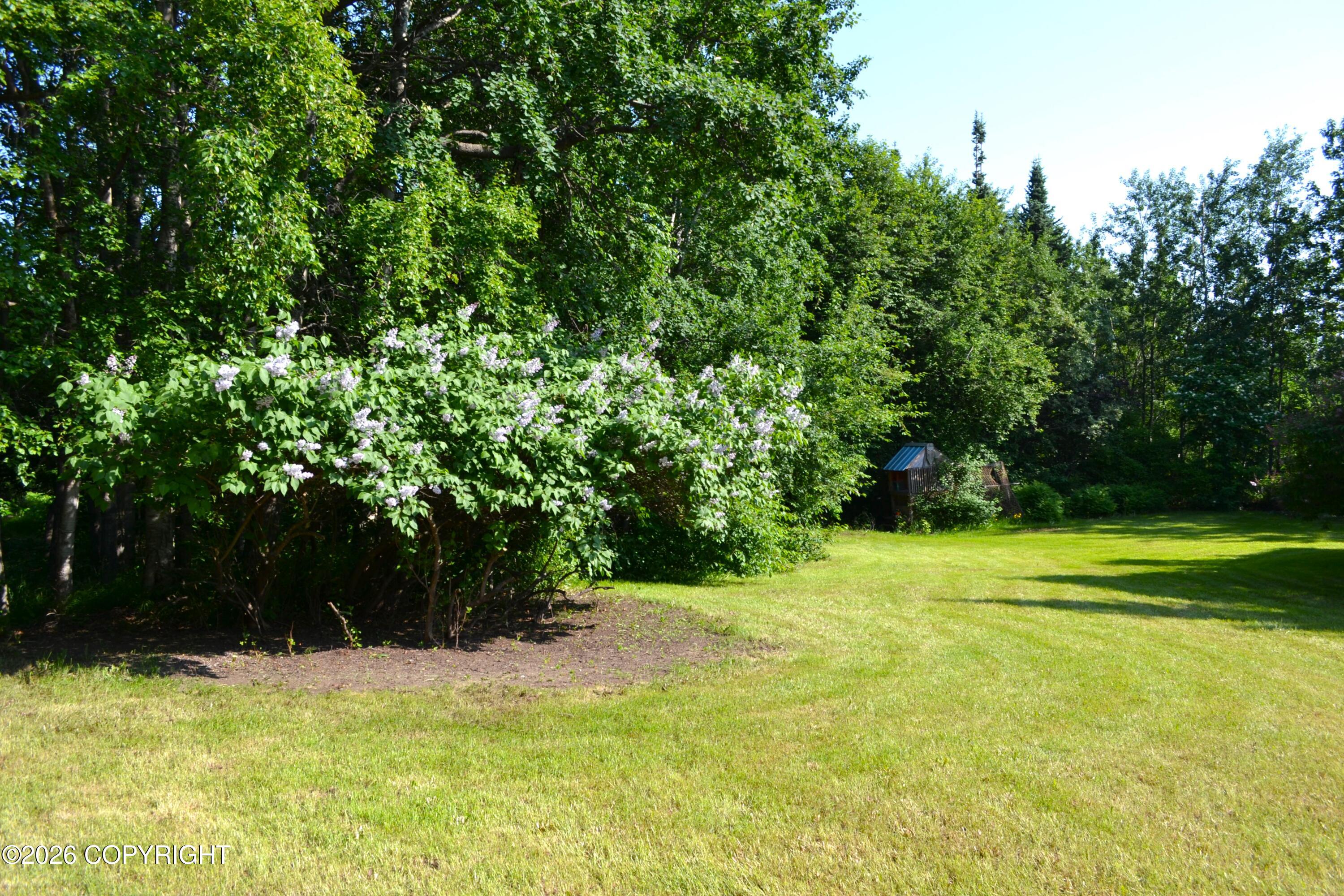 15100 Old Seward Highway Property Photo 13