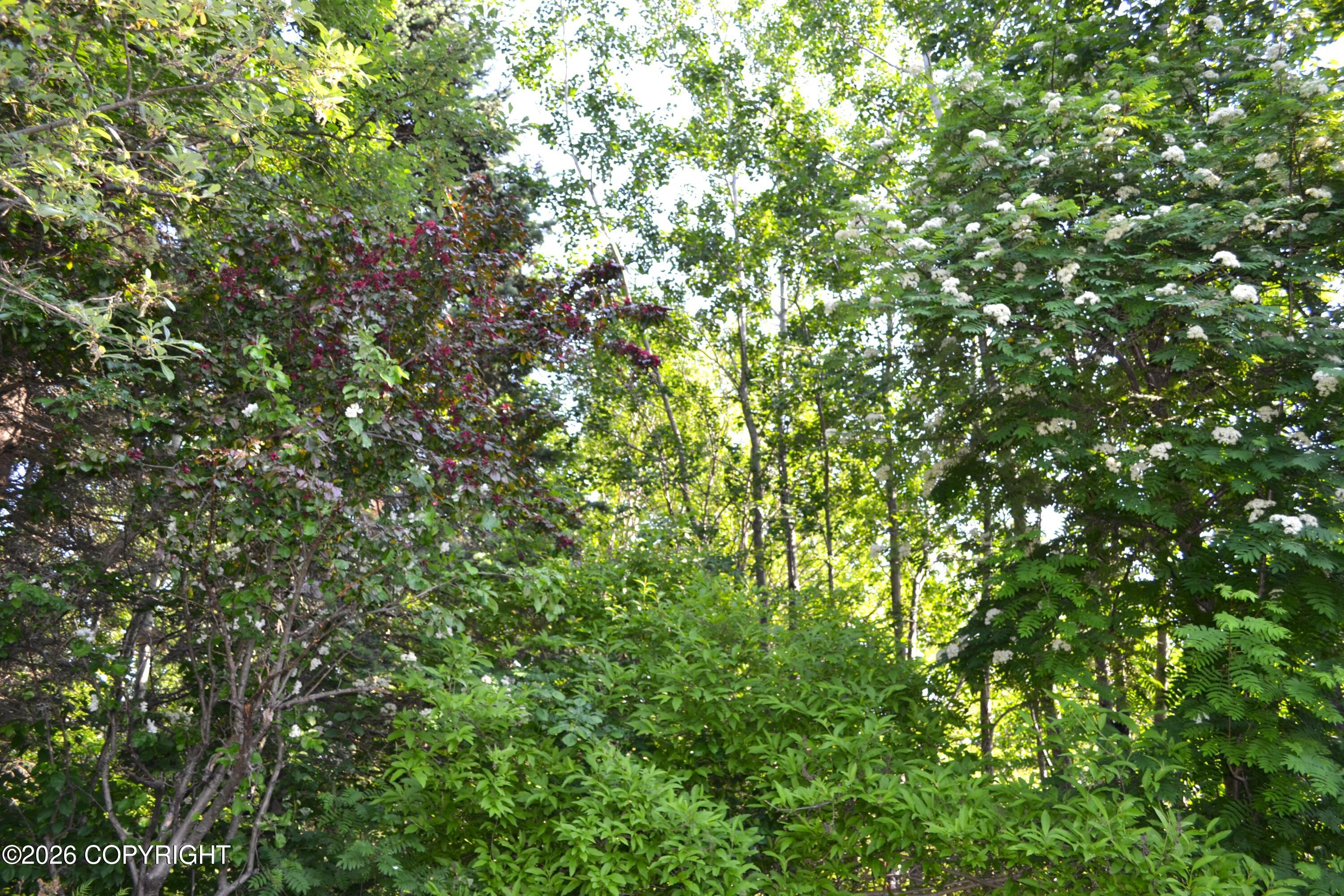 15100 Old Seward Highway Property Photo 15