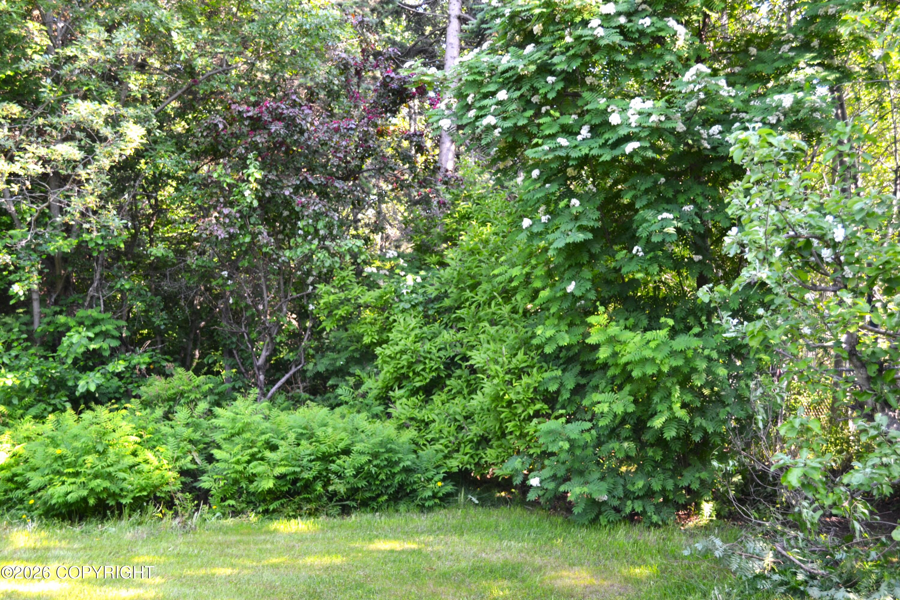 15100 Old Seward Highway Property Photo 18