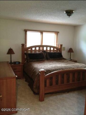 15100 Old Seward Highway Property Photo 44