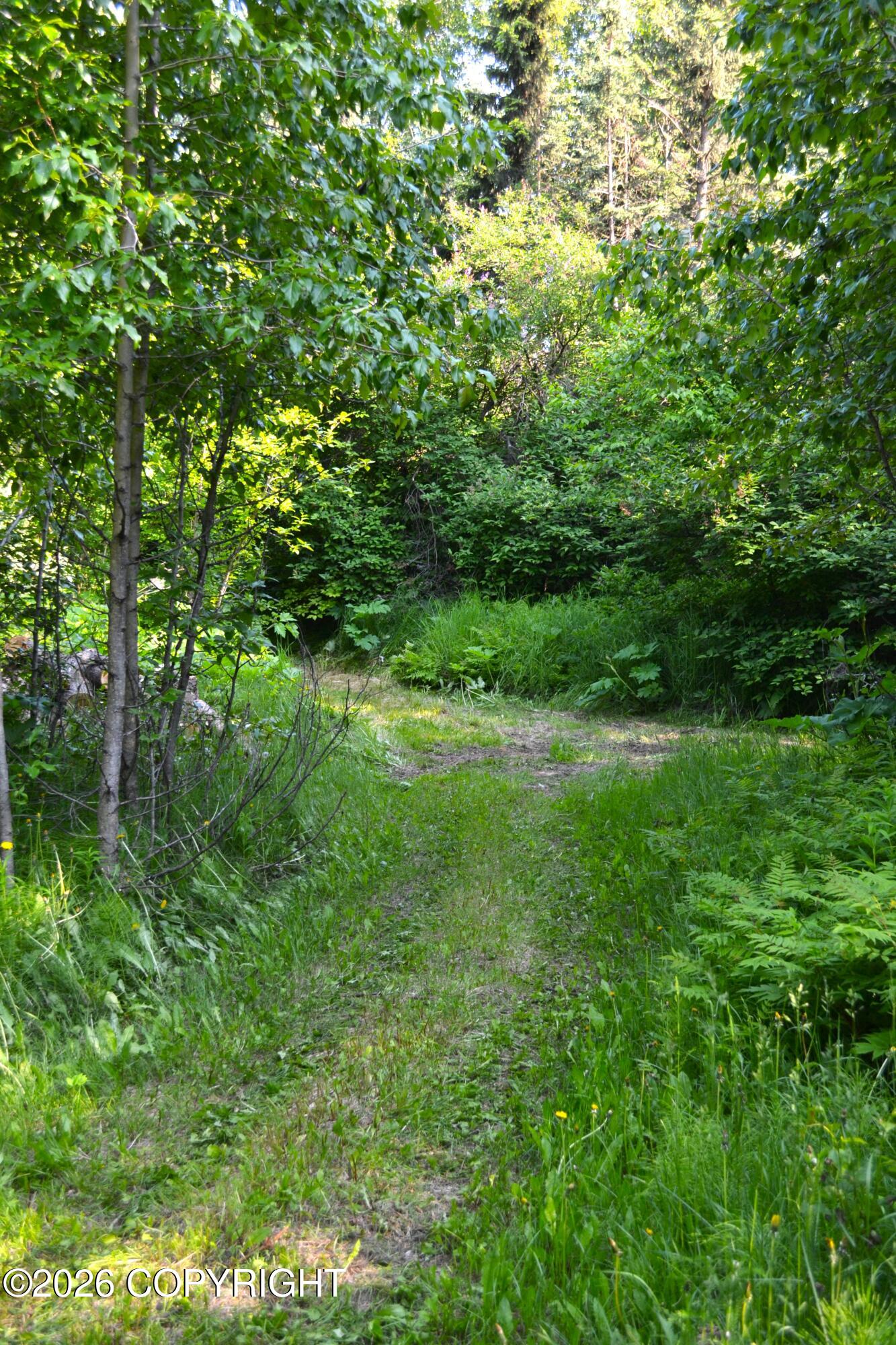 15100 Old Seward Highway Property Photo 63