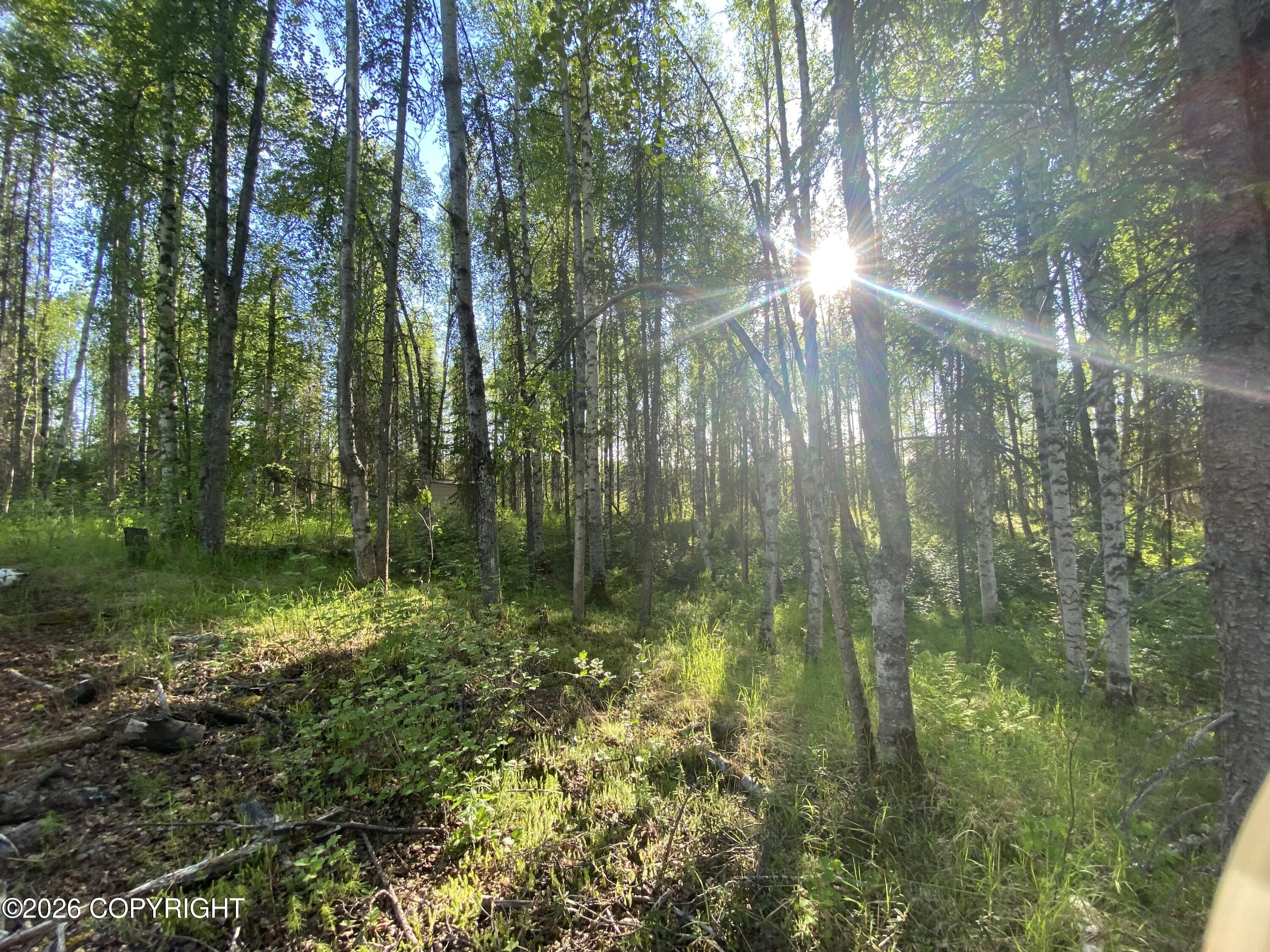 19340 E Caswell Lakes Road Property Photo 7