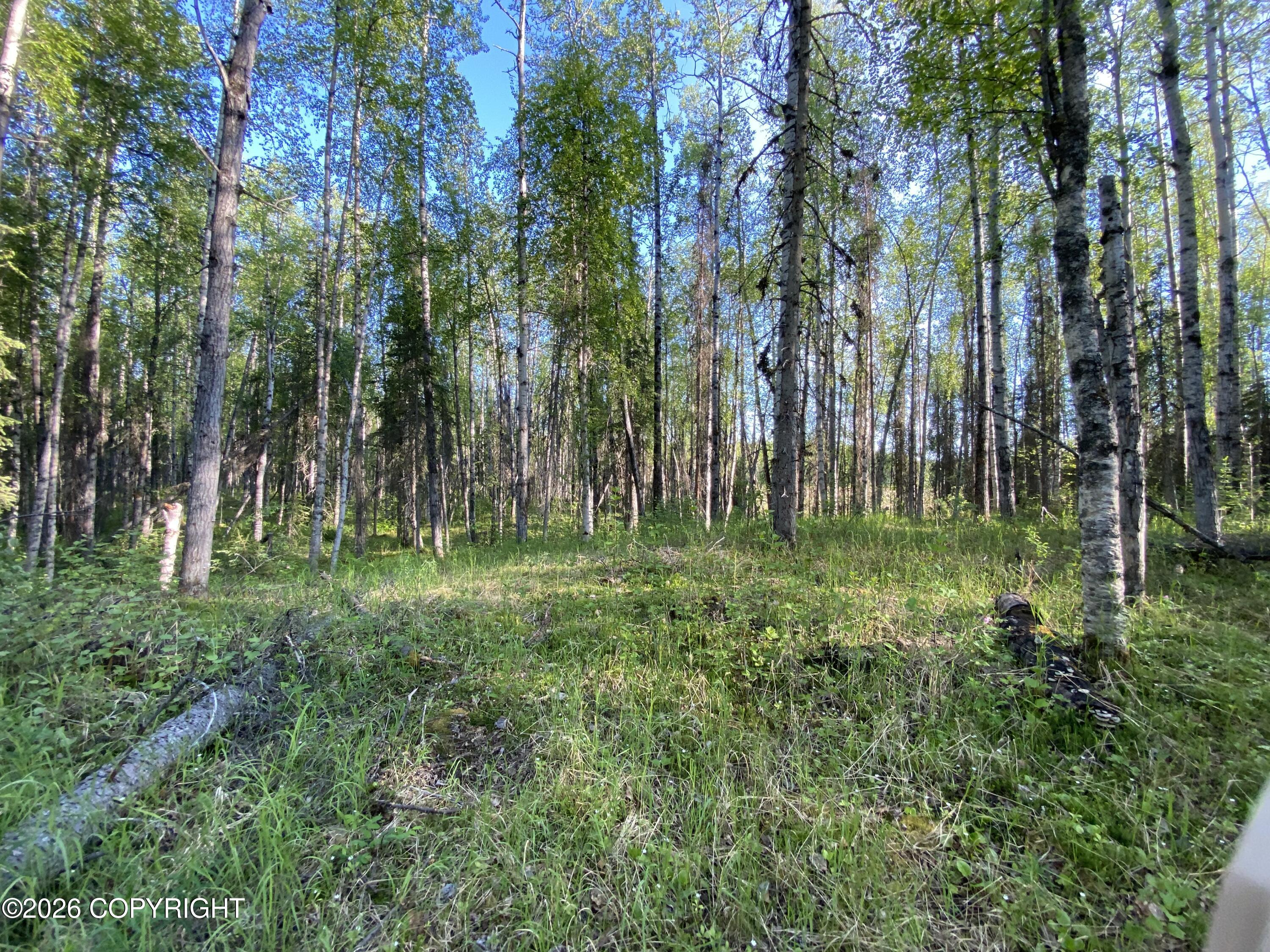 19340 E Caswell Lakes Road Property Photo 13