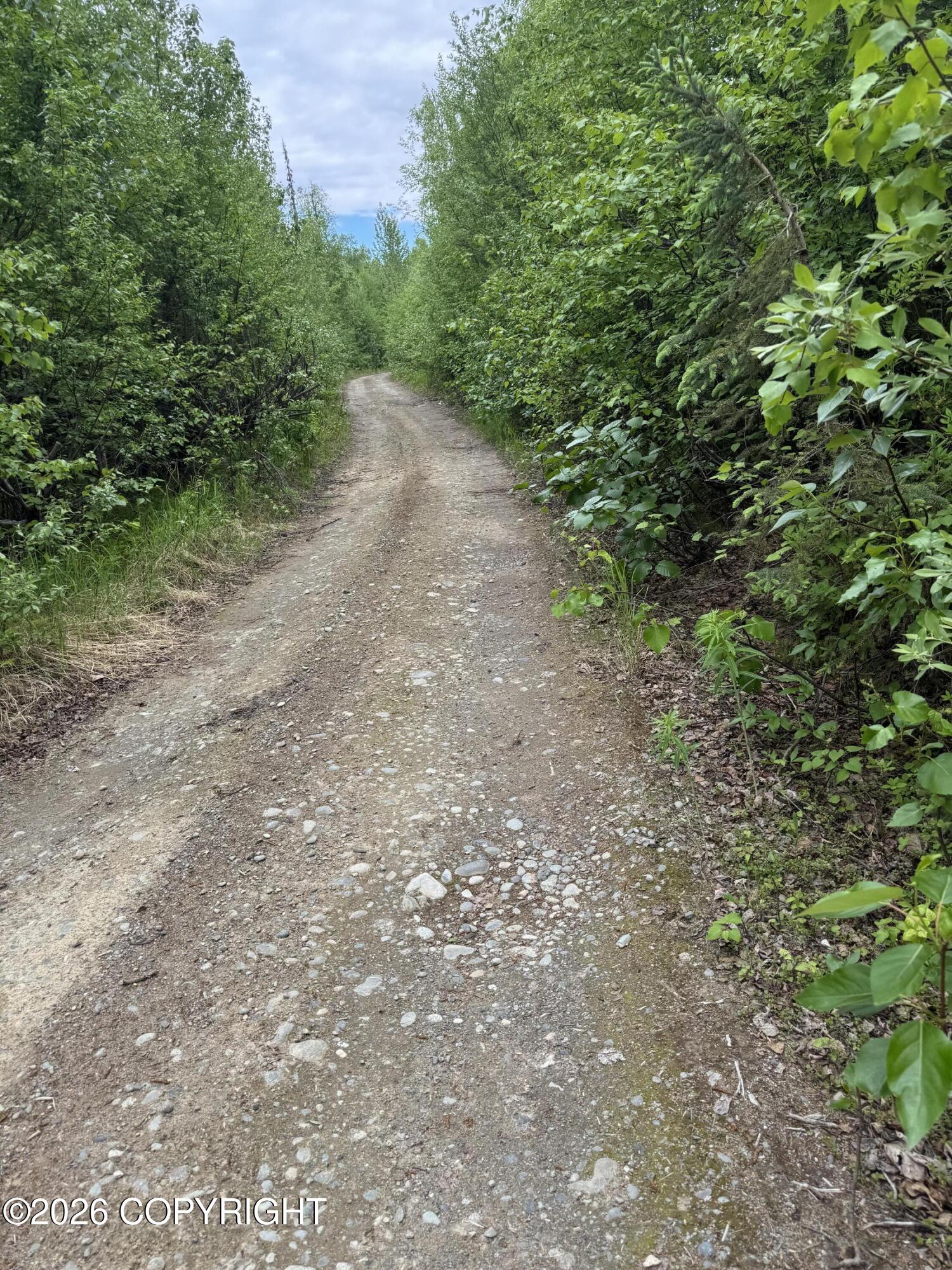 41983 S Moose Track Lane Property Photo 6