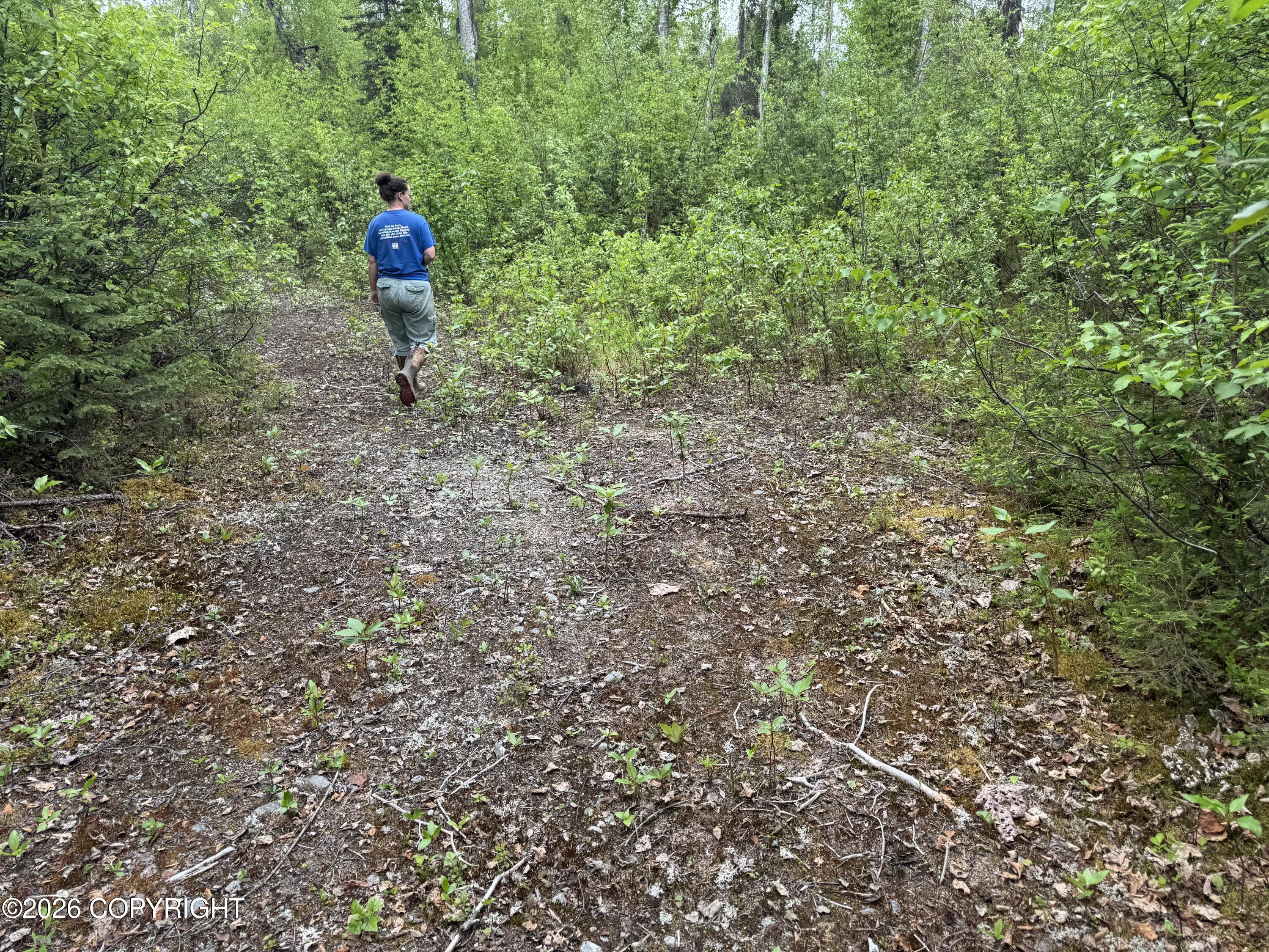 41983 S Moose Track Lane Property Photo 8