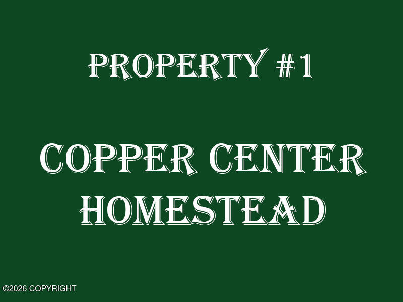27 Klutina River Trail Road Property Photo 3