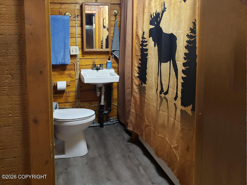 27 Klutina River Trail Road Property Photo 22