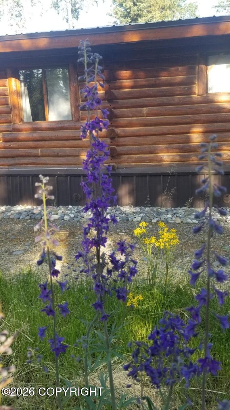 27 Klutina River Trail Road Property Photo 31