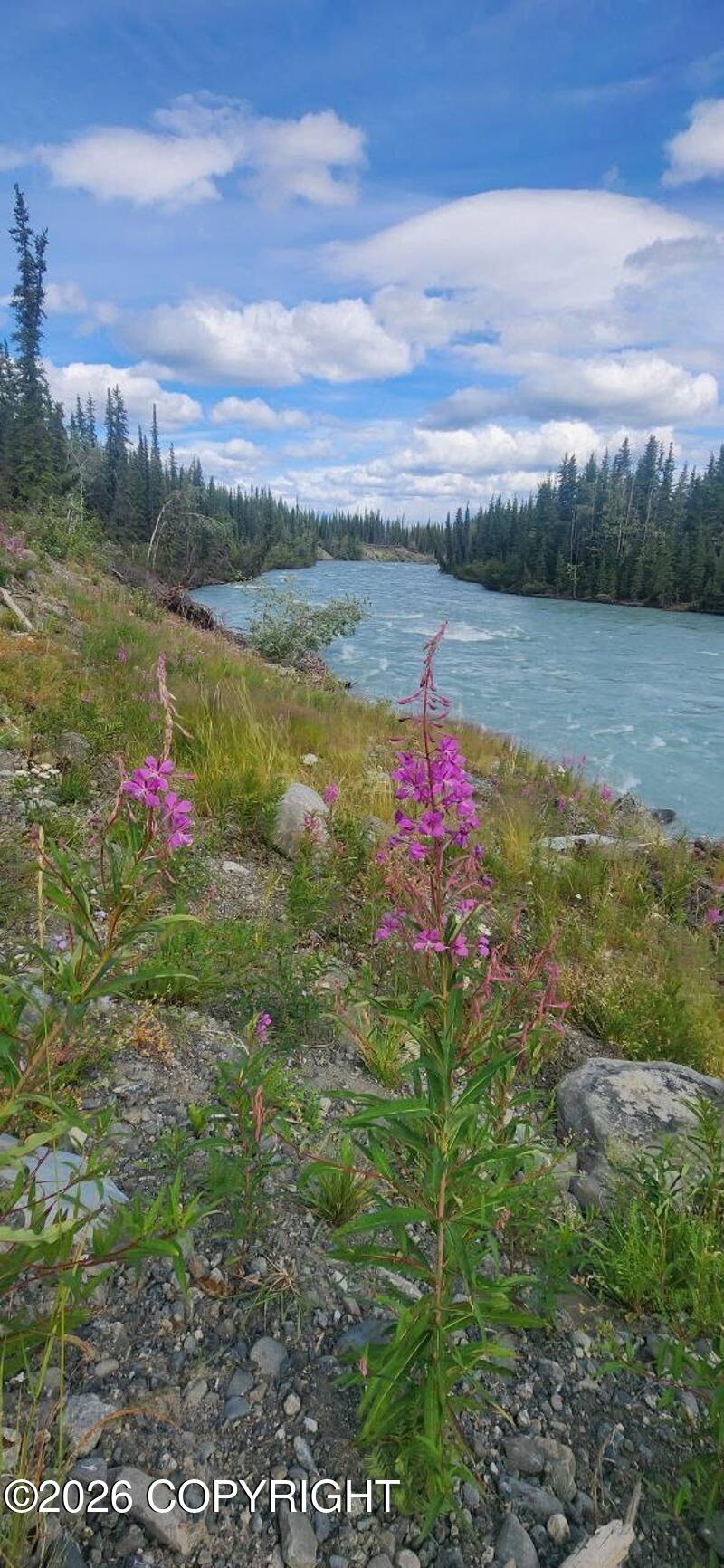27 Klutina River Trail Road Property Photo 84