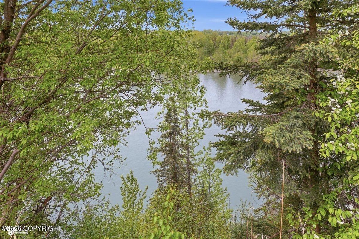 317 Diane Lane Property Photo 66