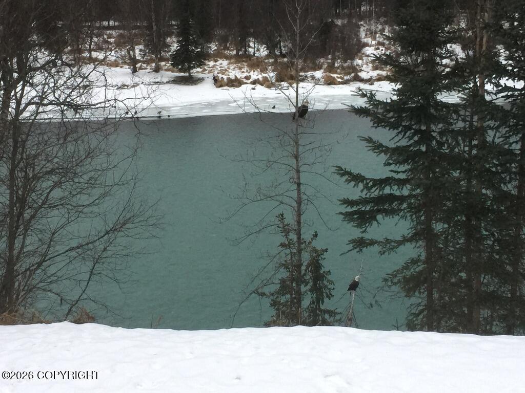 317 Diane Lane Property Photo 76