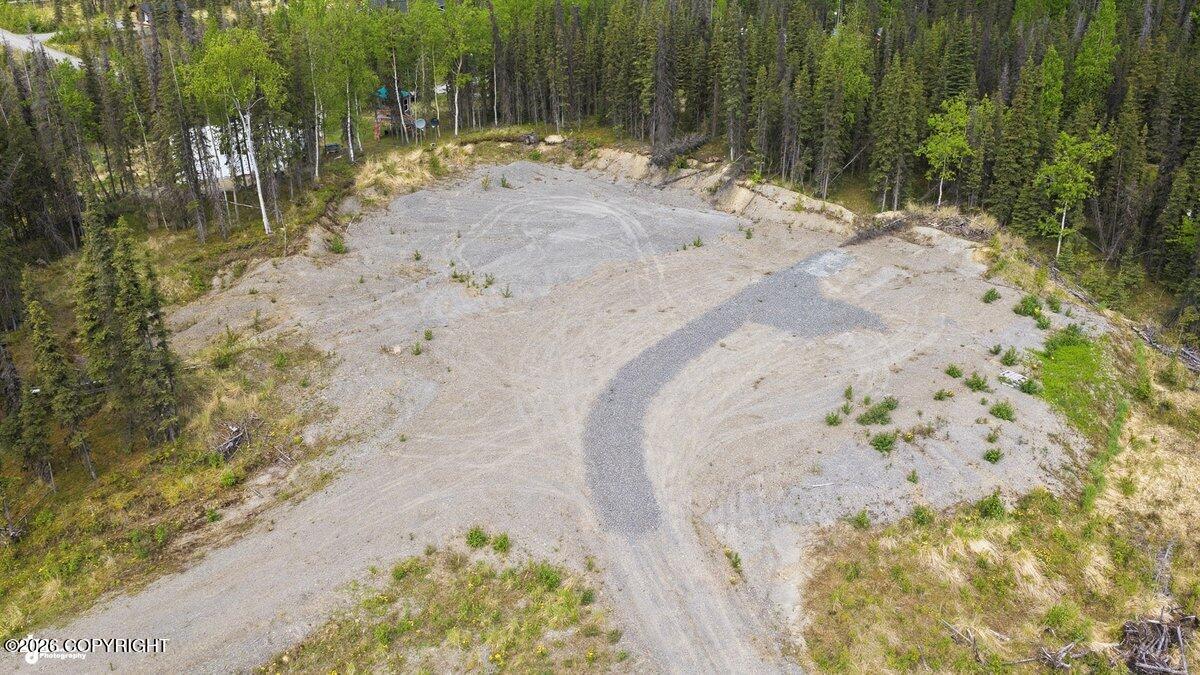 37008 Dutch Landing Loop Property Photo 3