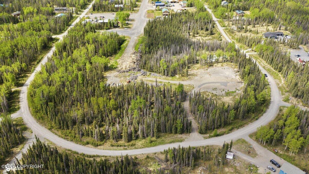37008 Dutch Landing Loop Property Photo 6