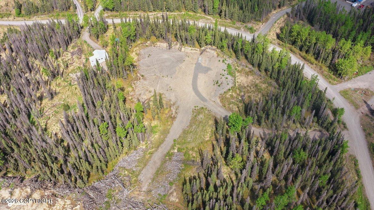 37008 Dutch Landing Loop Property Photo 7
