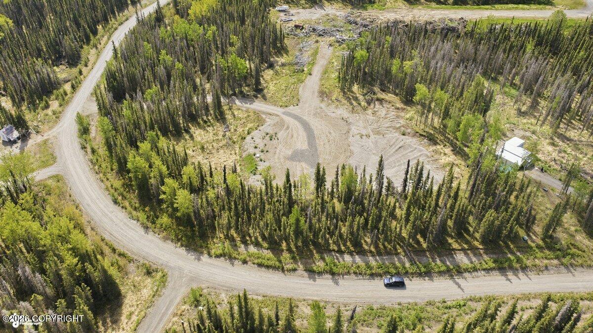 37008 Dutch Landing Loop Property Photo 8