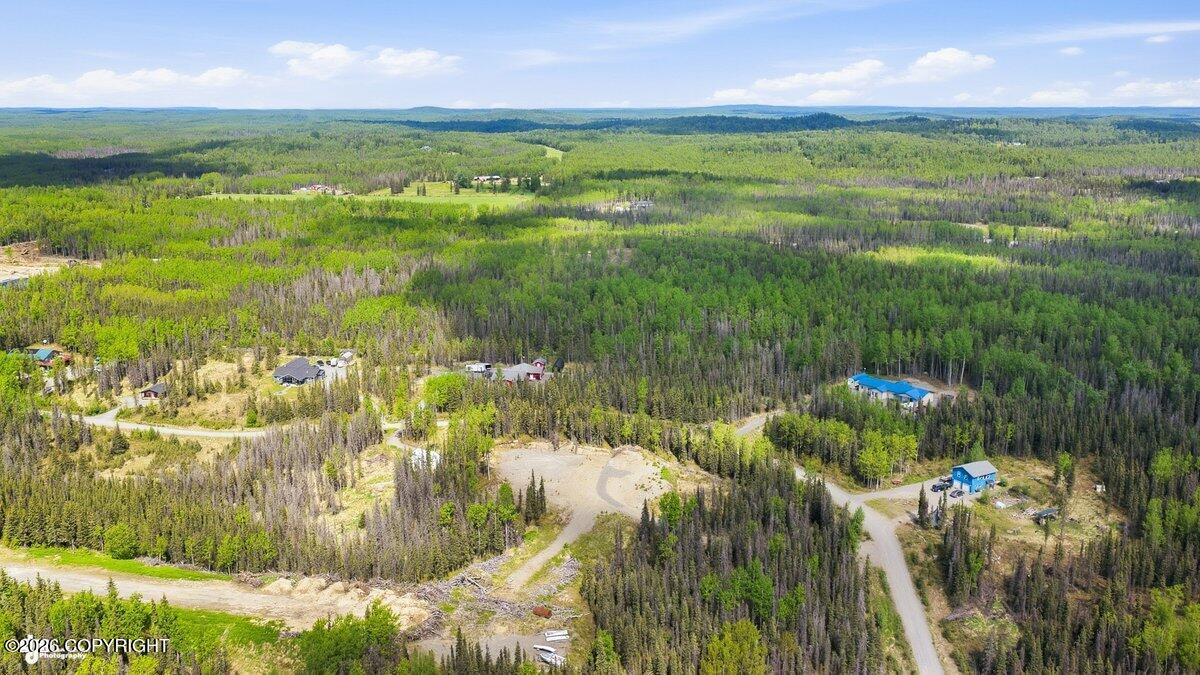 37008 Dutch Landing Loop Property Photo 9