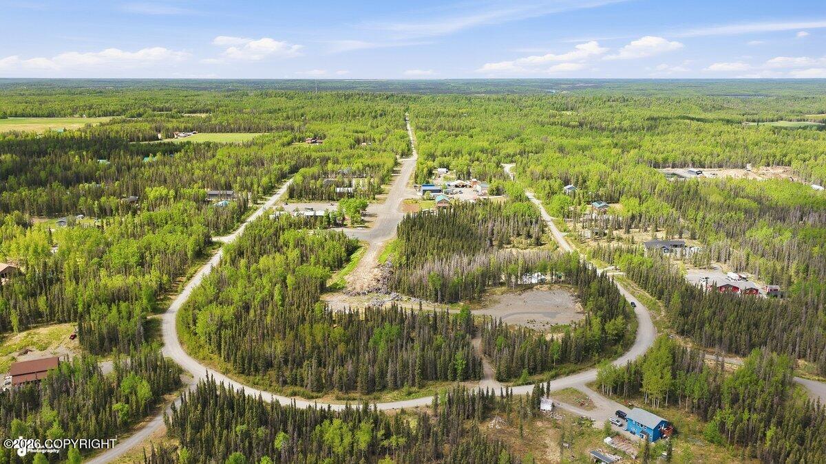 37008 Dutch Landing Loop Property Photo 10