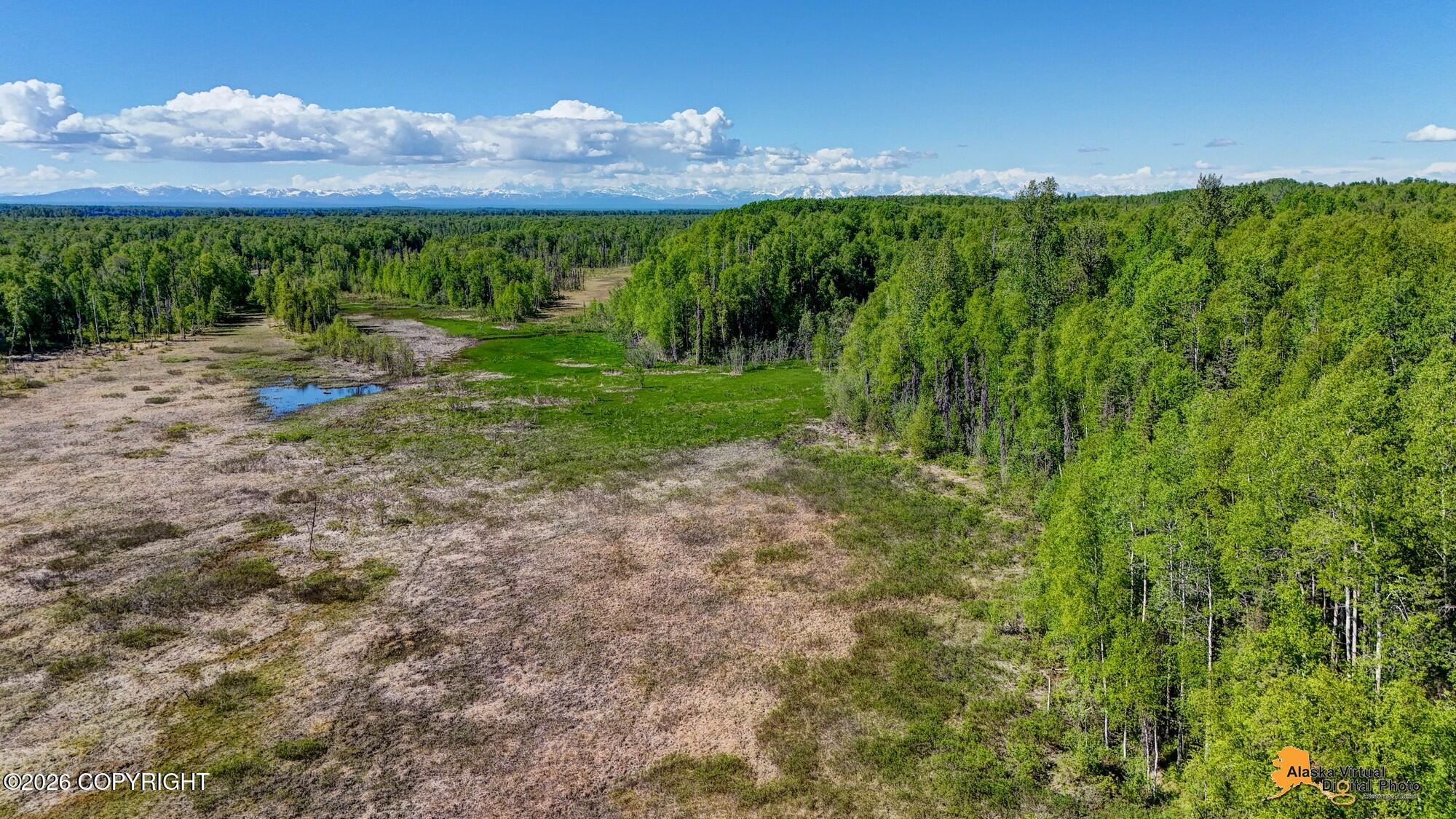 32500 S Talkeetna Spur Road Property Photo 60