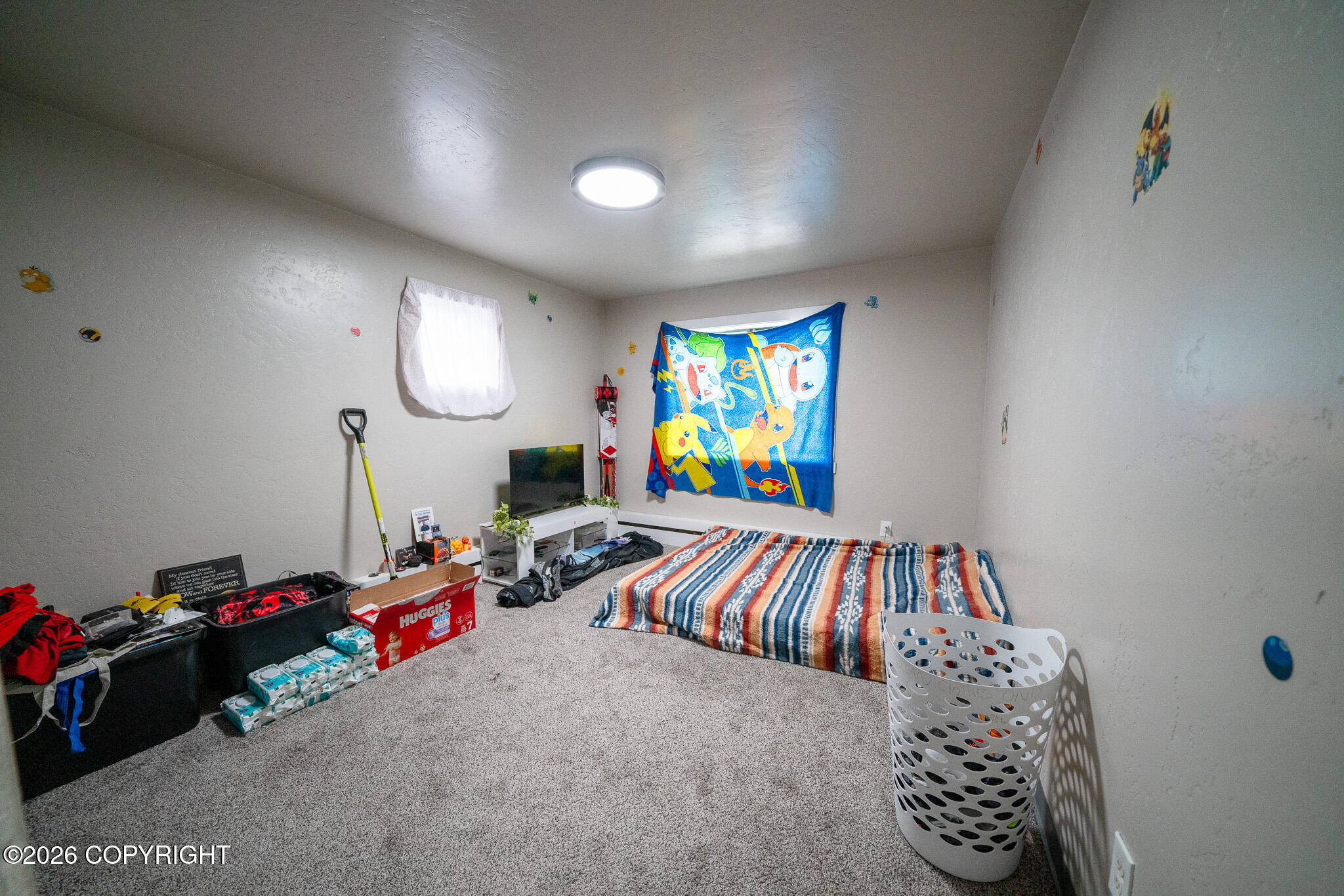 241 N Park Street Property Photo 65