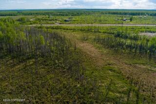 57215 S Parks Highway Property Photo 11