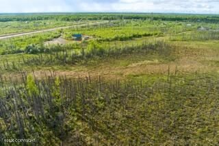 57215 S Parks Highway Property Photo 12
