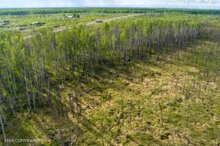 57215 S Parks Highway Property Photo 13