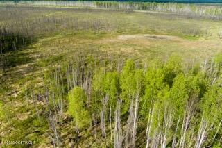 57215 S Parks Highway Property Photo 15