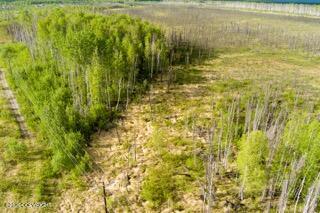 57215 S Parks Highway Property Photo 16