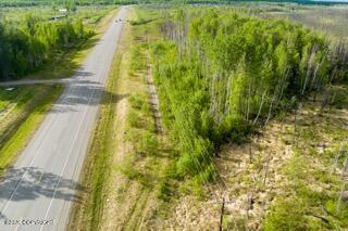 57215 S Parks Highway Property Photo 17