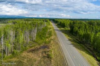 57215 S Parks Highway Property Photo 18
