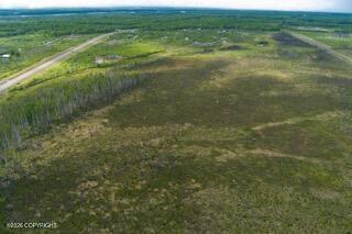 57215 S Parks Highway Property Photo 19