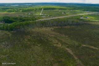 57215 S Parks Highway Property Photo 21