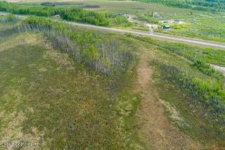 57215 S Parks Highway Property Photo 23