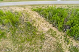 57215 S Parks Highway Property Photo 25